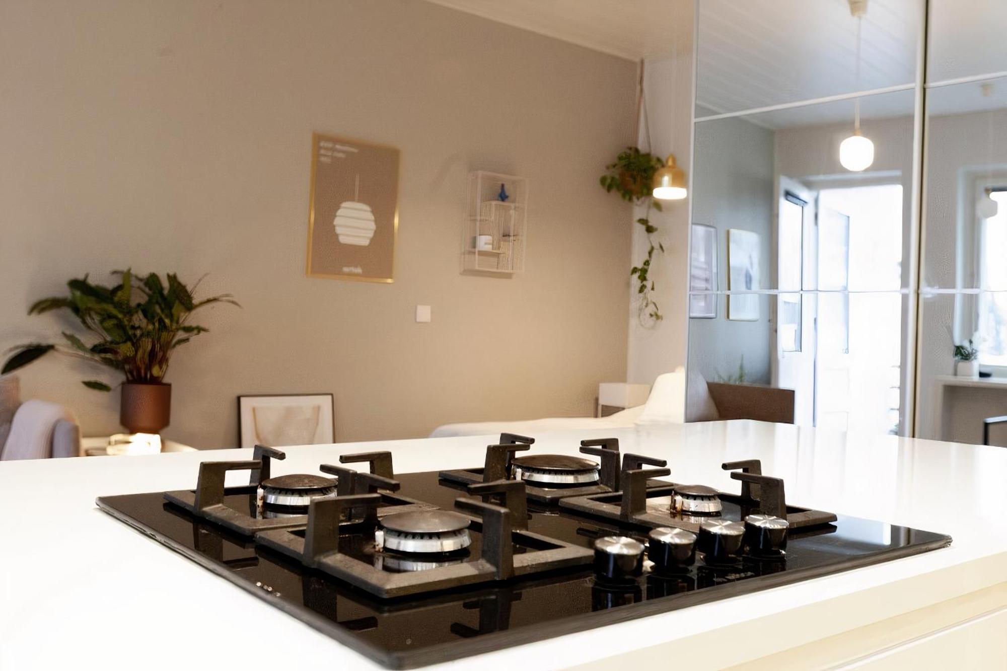 Apartment Luxury Nordic Loft With Great Kitchen And Location